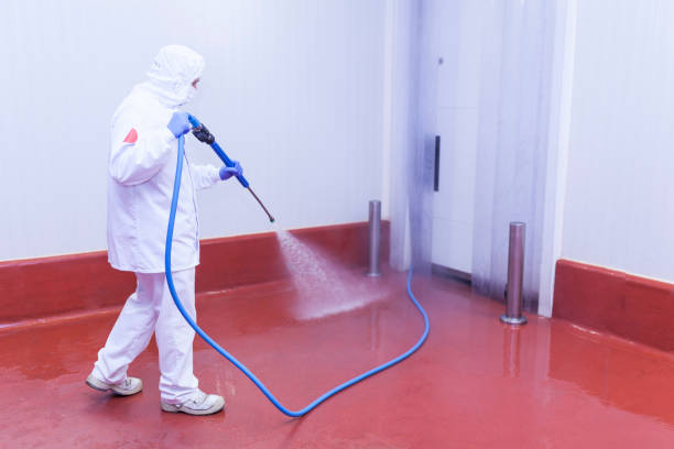 Best Patio and Deck Pressure Washing  in Bennettsville, SC